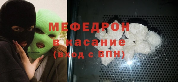 индика Каменка