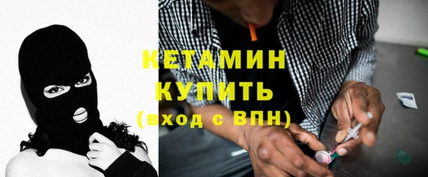 индика Каменка