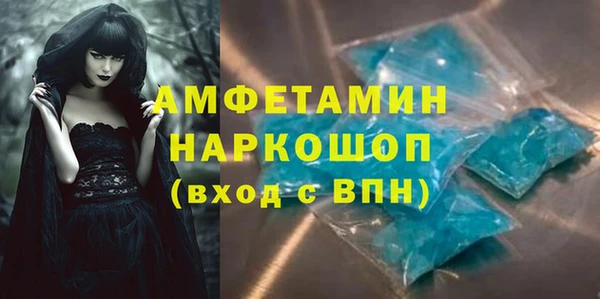 индика Каменка