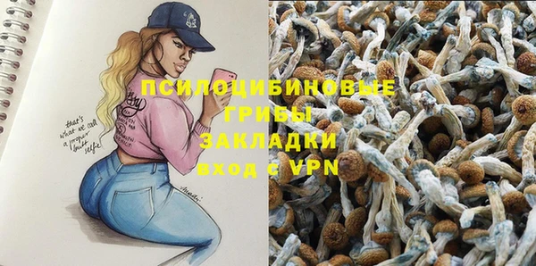 твердый Каменногорск