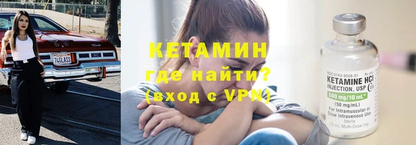 индика Каменка