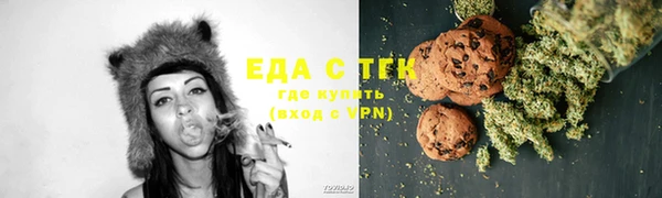 индика Каменка
