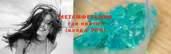 индика Каменка