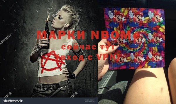 индика Каменка