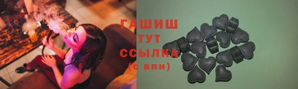 индика Каменка