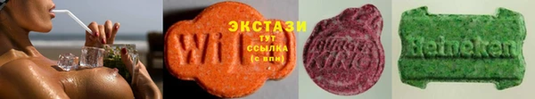 индика Каменка