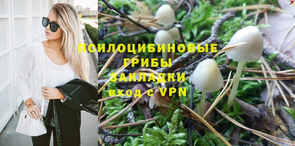 твердый Каменногорск