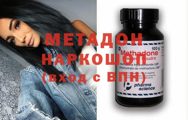 индика Каменка
