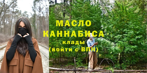 индика Каменка