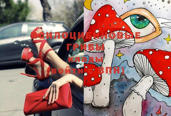 индика Каменка