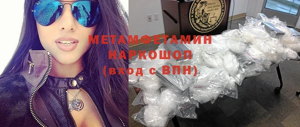 индика Каменка