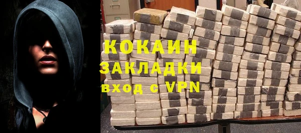 индика Каменка