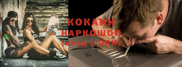 индика Каменка