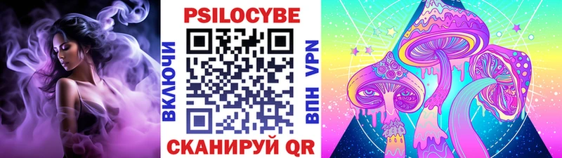blacksprut сайт Альметьевск Галлюциногенные грибы Psilocybe