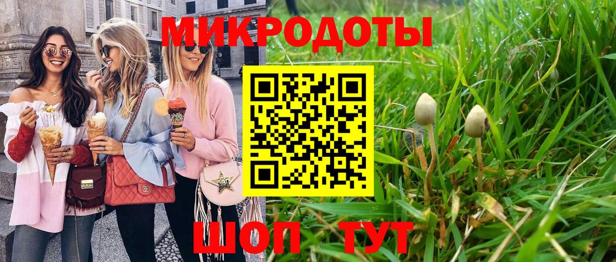 Галлюциногенные грибы мицелий  как найти   Альметьевск 