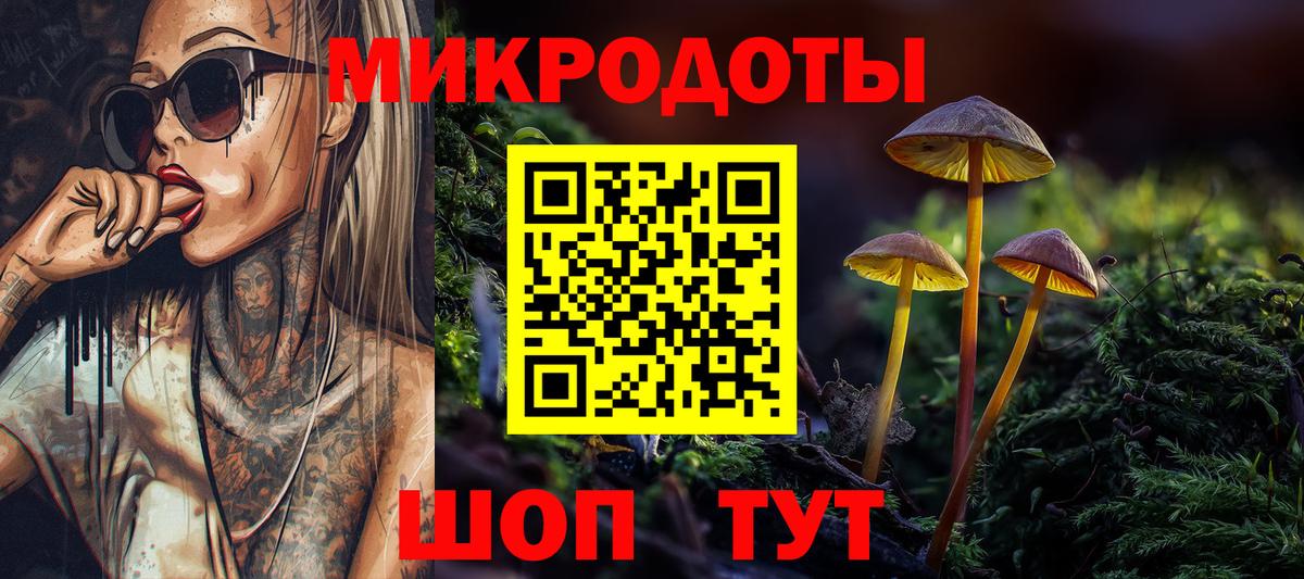 Псилоцибиновые грибы мицелий  цена наркотик  Альметьевск  Вход с VPN  Псилоцибиновые грибы Psilocybe 